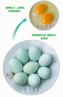 夹江特产乌鸡蛋 30枚新鲜绿壳土鸡蛋的地道美味