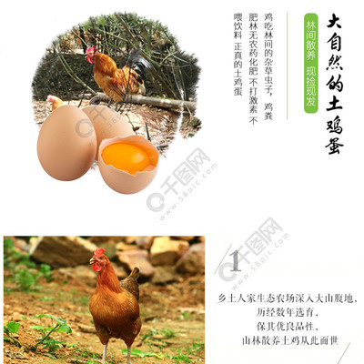 淘宝天猫绿色食品健康农家土鸡蛋详情页模板免费下载_psd格式_1024像素_编号27017235