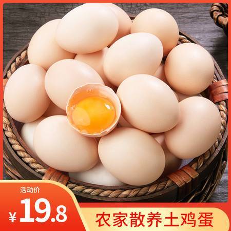 汪集土鸡蛋【买新鲜蛋就选汪集】20枚装