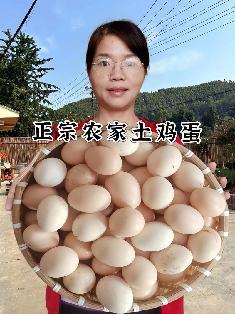 家人们,农家散养土鸡蛋来了!现捡现发,吃