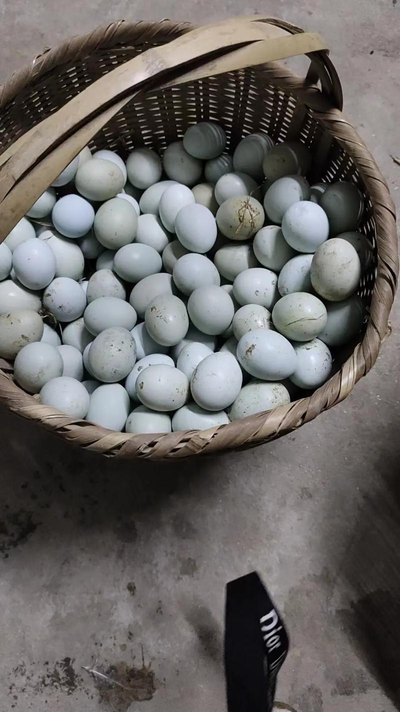 农村散养土鸡蛋 ,好食材好味道 ,营养丰富 ,有想吃的吗 ? - 抖音